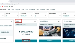 卖家朋友—你有个100万元额度的回血包