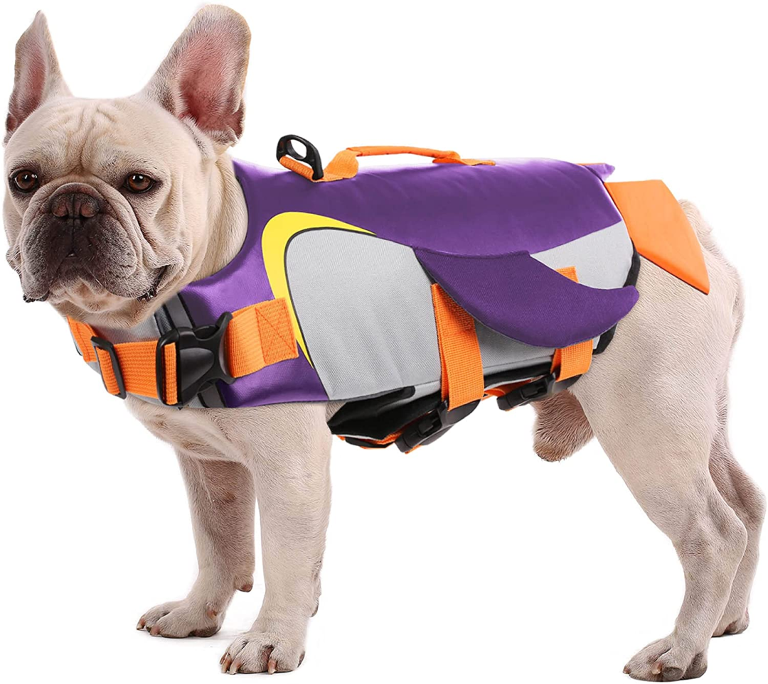 【TOP选品】6月潜力产品推荐：北美最新消费趋势解析！