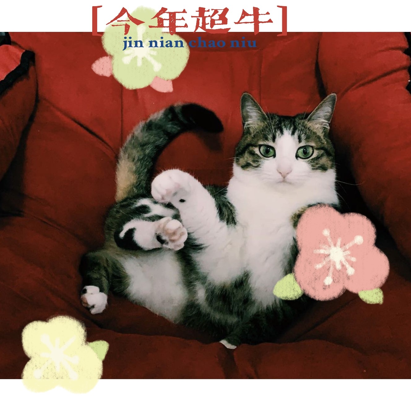 跨境电商卖家的财富经：90后美女创业2年做到单量第一，店铺日销4万单