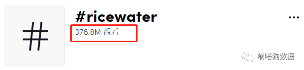 老外护发新宠！TikTok“淘米水”成为独立站美妆爆款