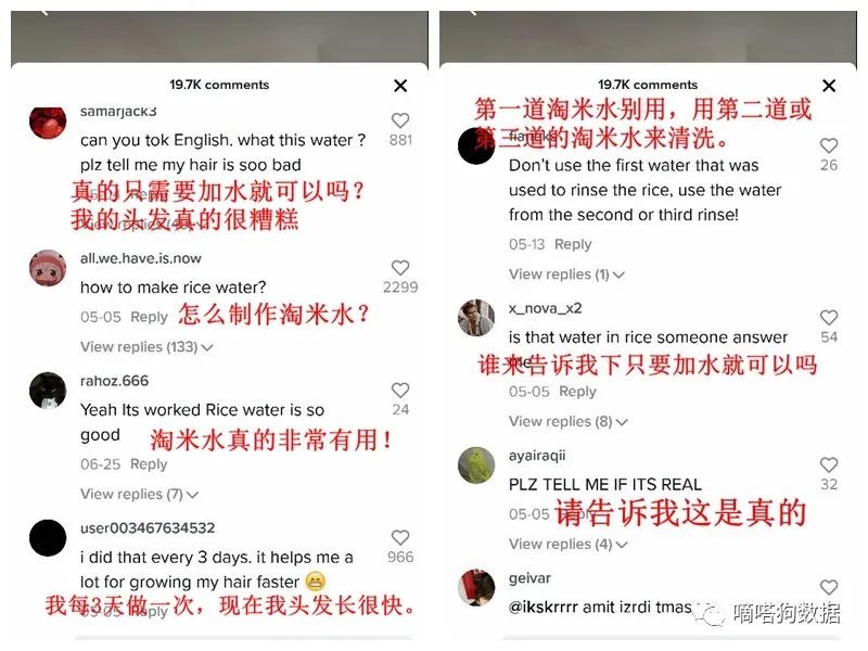 老外护发新宠！TikTok“淘米水”成为独立站美妆爆款