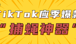 今年需求暴涨!TikTok“捕蝇神器”成应季爆款商品