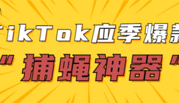 今年需求暴漲！TikTok“捕蠅神器”成應(yīng)季爆款商品