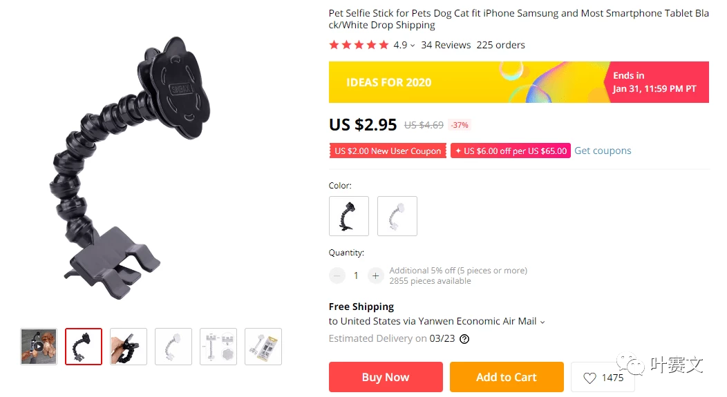 46种最适合跨境电商的宠物用品(2021)