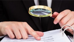 46种最适合跨境电商的宠物用品(2021)