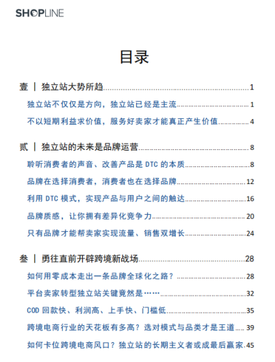 机遇下的挑战—独立站最新的势态，如何迎风而上
