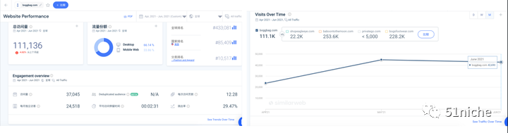 靠自然流量存活数年的丑丑妈咪包独立站-Bogbagg