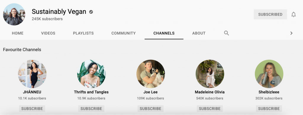 独立站红人营销攻略！带你看懂9种 YouTube 红人推广形式