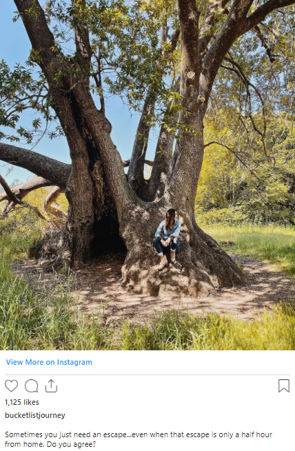 学会Ins标题撰写技巧，轻松提升账号活跃度