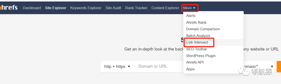 用显微镜来分析竞争对手独立站，马上抄同行作业、提升询盘！